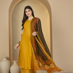 Gulmohar Jaipur Rayon Calf Length Solid Sleeveless V-Neck Straight Kurta Suit Set